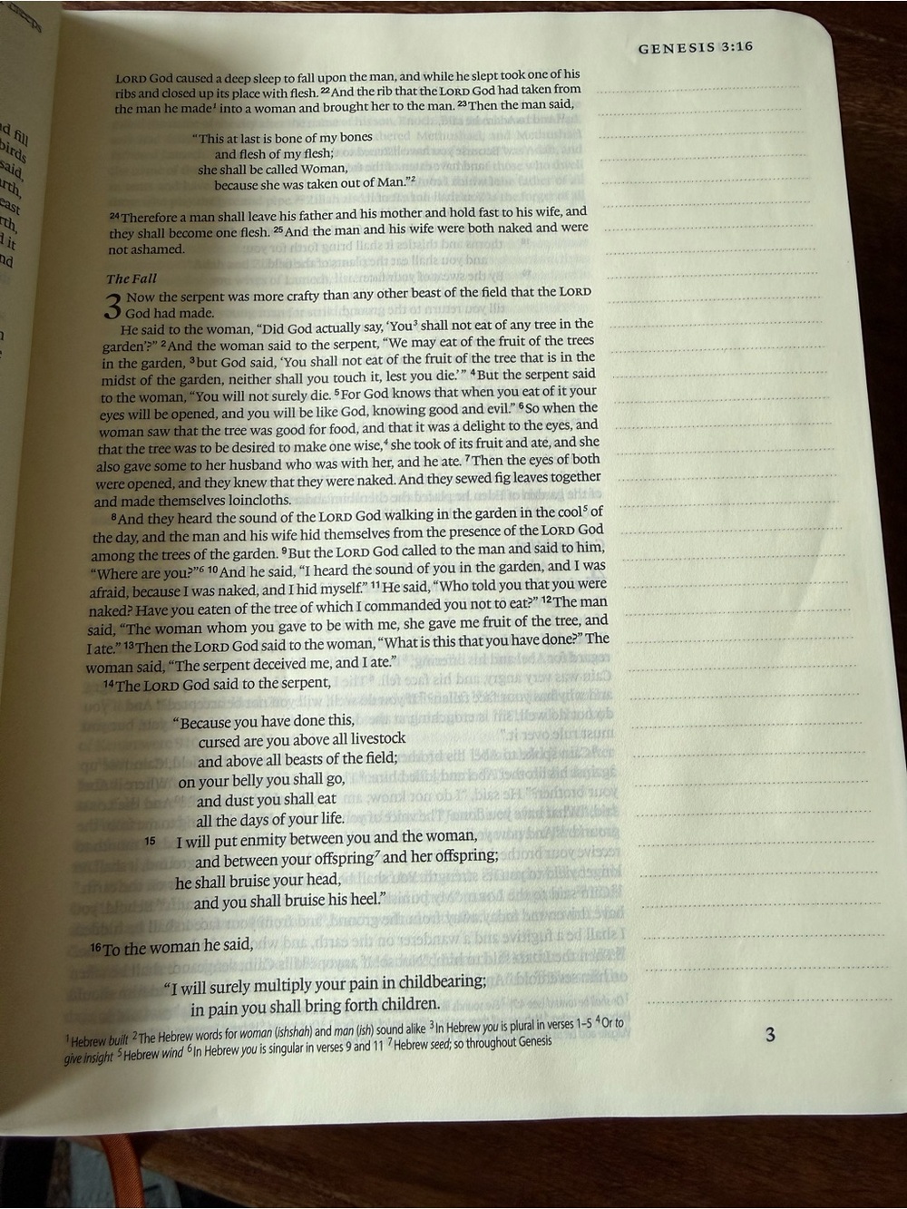 ESV Single Column Journaling Bible, Artist Series Joshua Noom the Lion - Picture 8 of 11